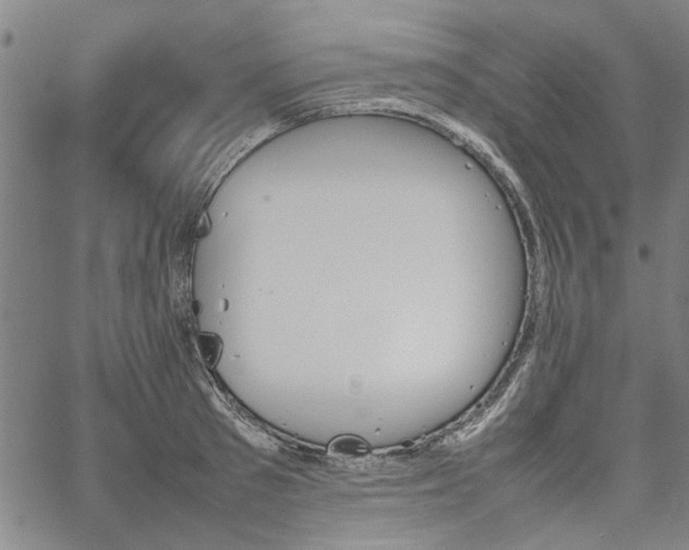 X0000067480897200604071136