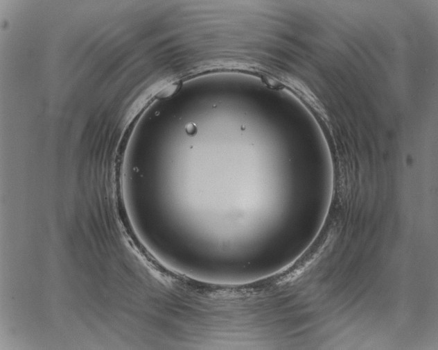 X0000067480898200604071136