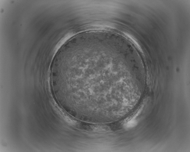 X0000067480899200604071136