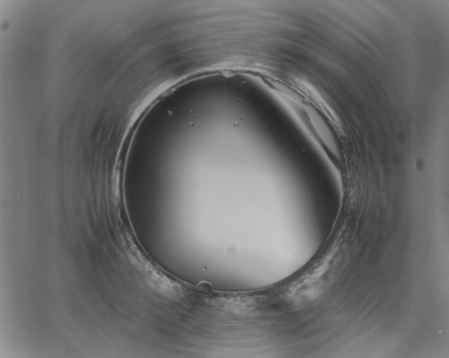 X0000067480900200604071136