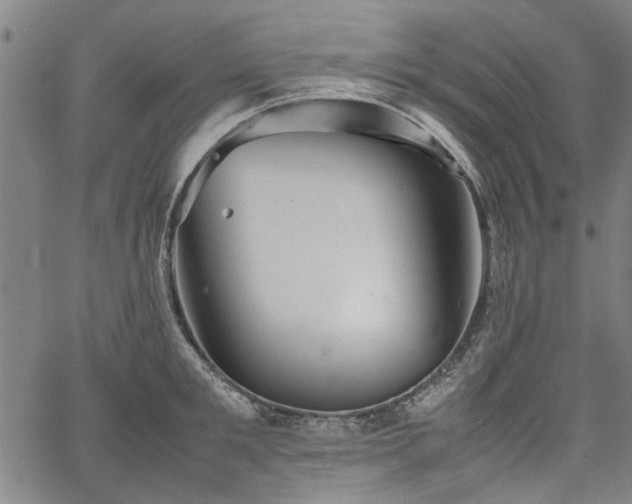 X0000067480901200604071136