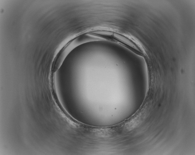 X0000067480902200604071136