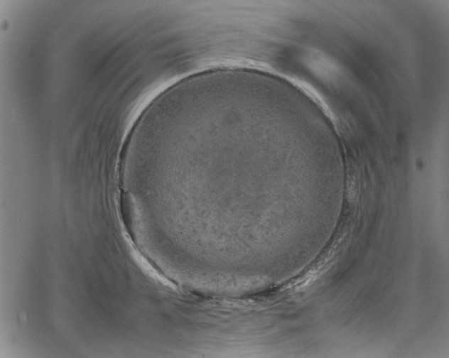 X0000067480903200604071136