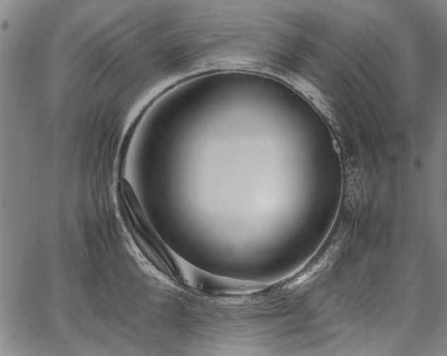 X0000067480904200604071136