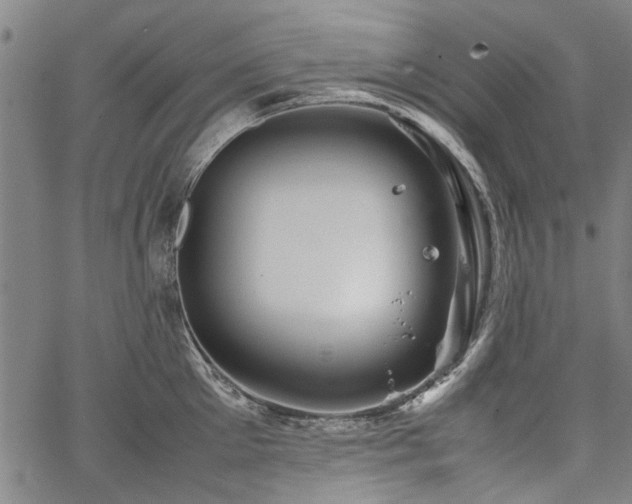 X0000067480905200604071136