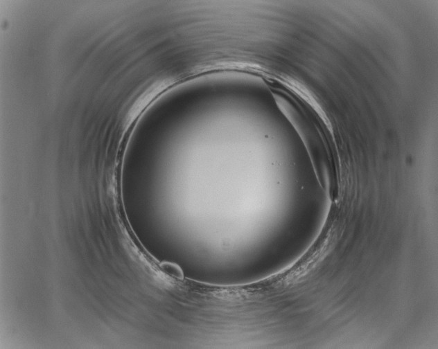 X0000067480906200604071136