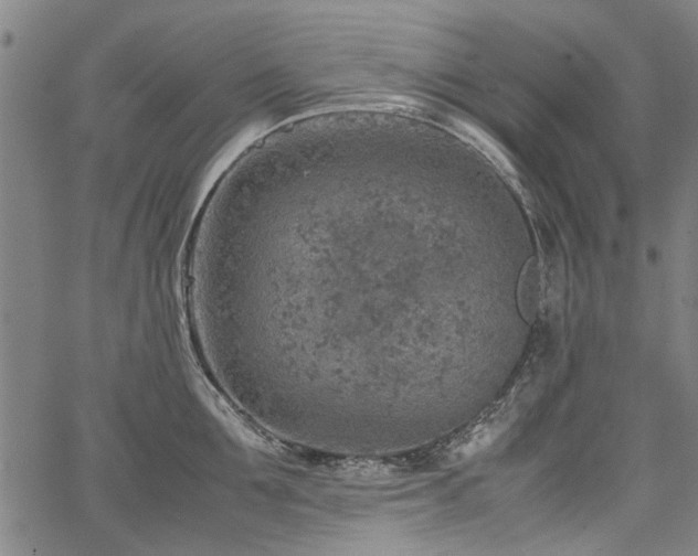 X0000067480907200604071136