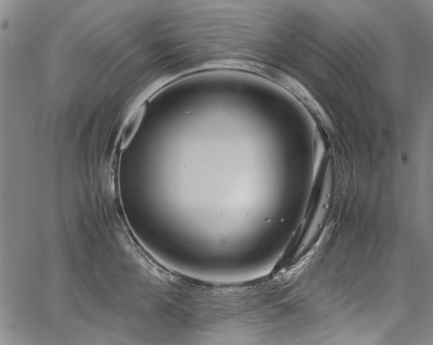 X0000067480908200604071136