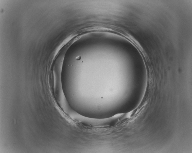 X0000067480909200604071136