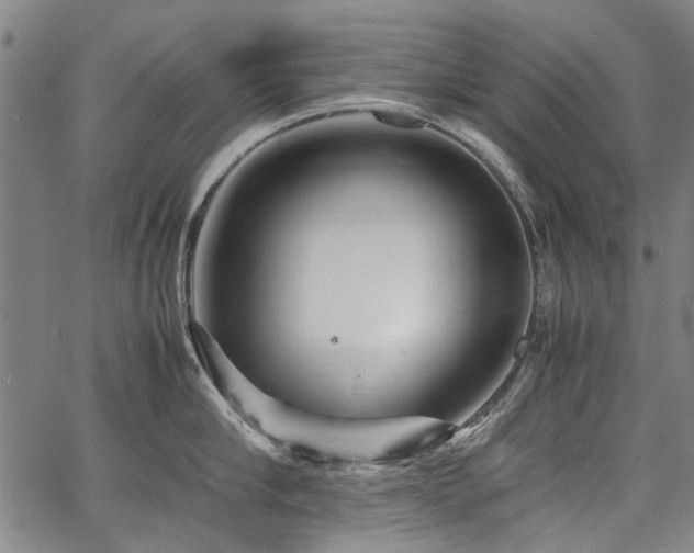 X0000067480910200604071135