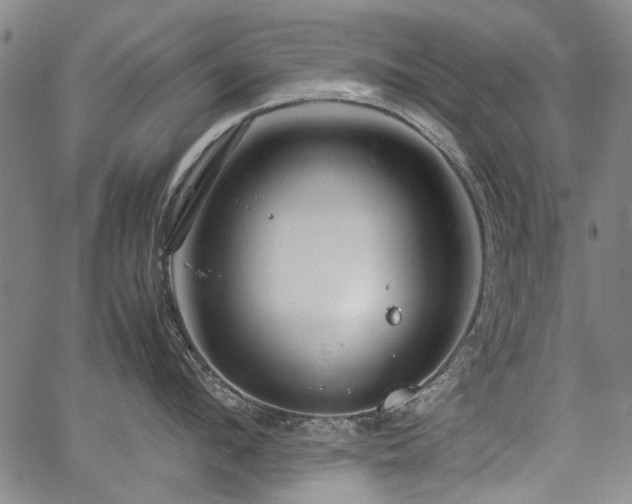 X0000067480912200604071135