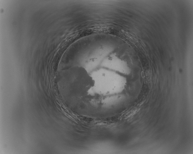 X0000067480913200604071135