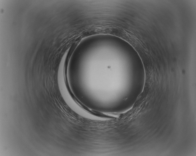 X0000067480914200604071135