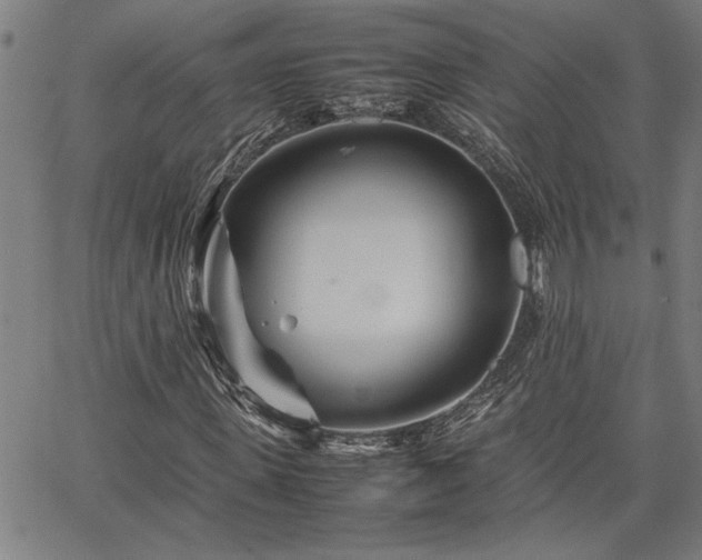 X0000067480915200604071135