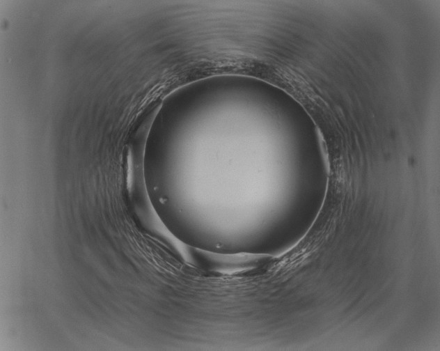 X0000067480916200604071135