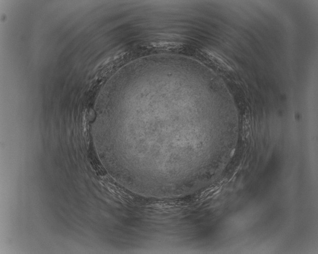 X0000067480917200604071135