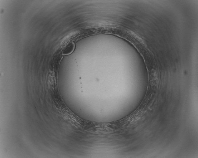 X0000067480918200604071135