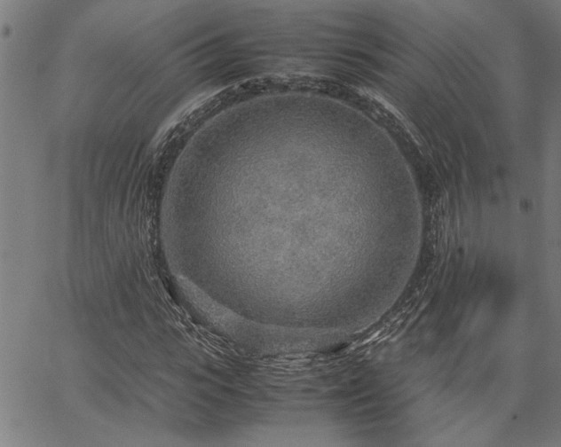 X0000067480919200604071135