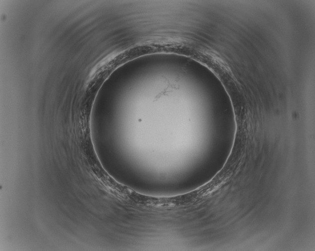 X0000067480920200604071135