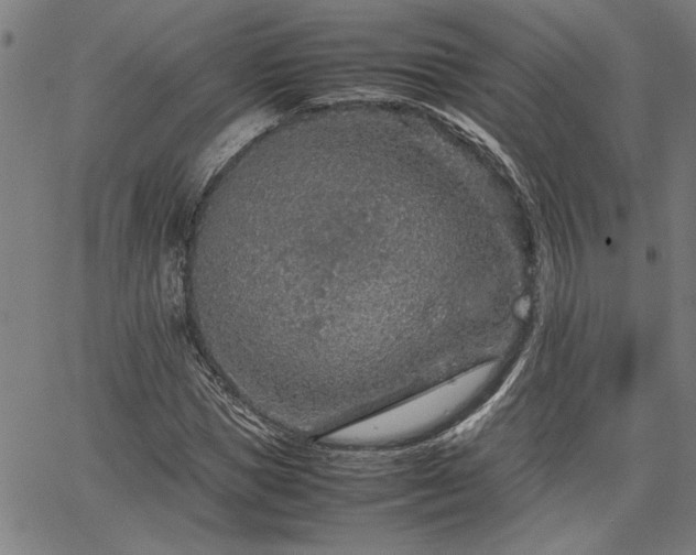 X0000067480921200604071135