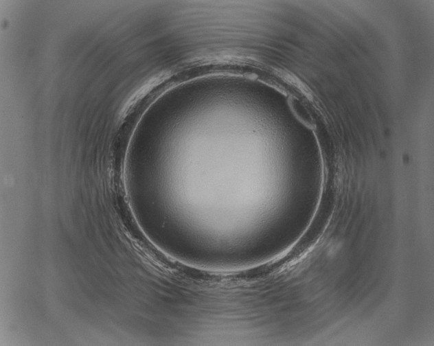 X0000067480922200604071135