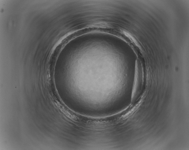 X0000067480923200604071135