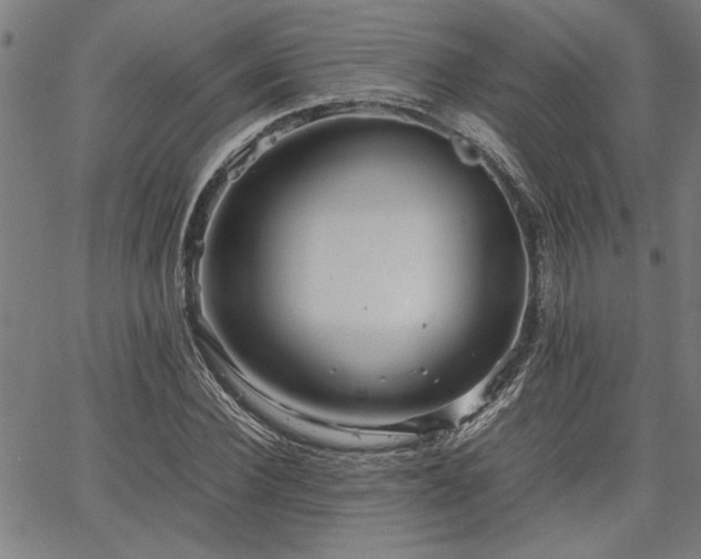 X0000067480924200604071135