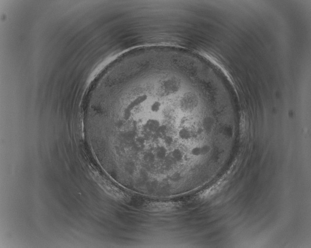 X0000067480925200604071135