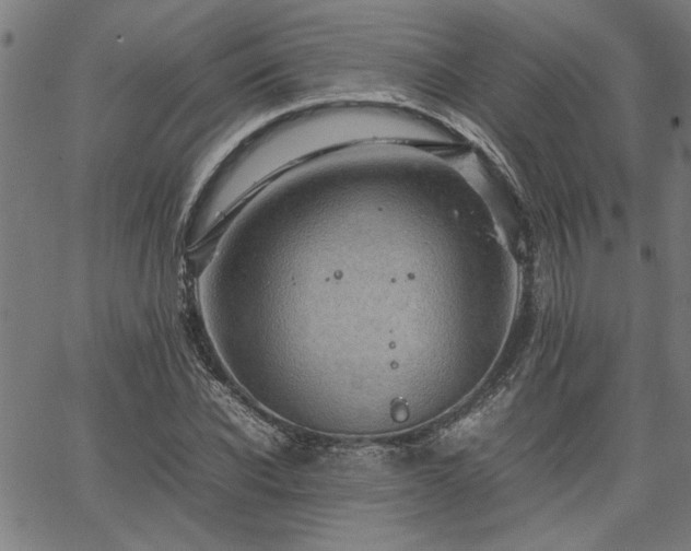 X0000067480926200604071135