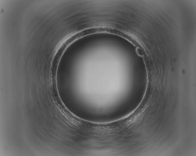 X0000067480927200604071135