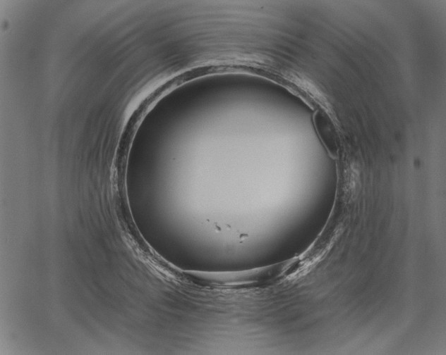 X0000067480928200604071135