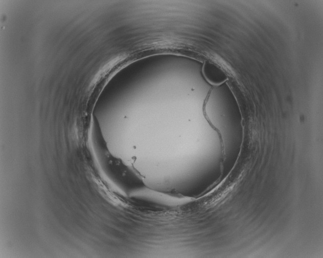 X0000067480930200604071135