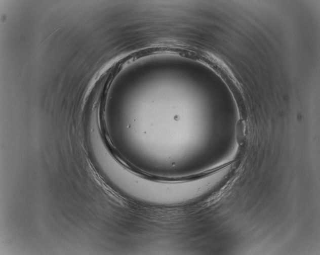 X0000067480931200604071135