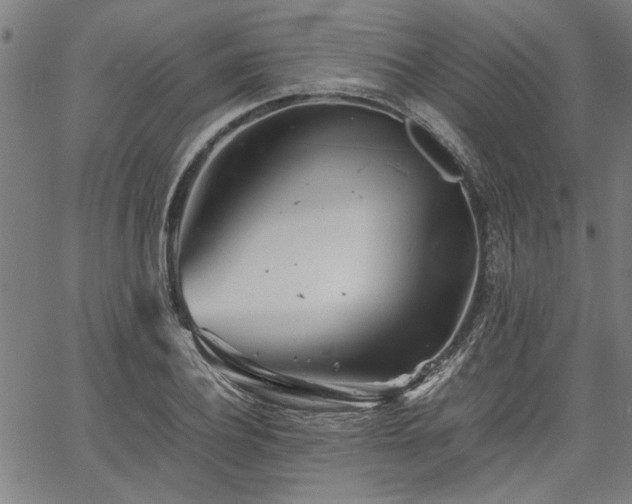 X0000067480932200604071135