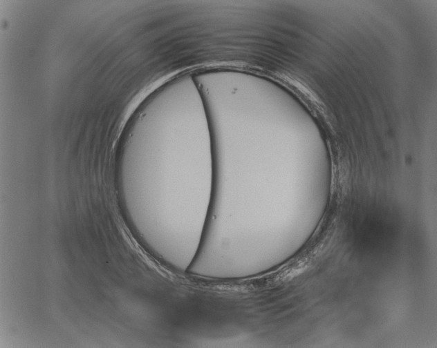 X0000067480933200604071135