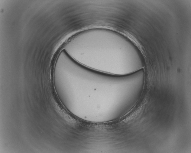 X0000067480934200604071135