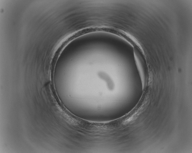 X0000067480935200604071135