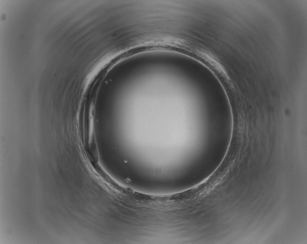 X0000067480936200604071135