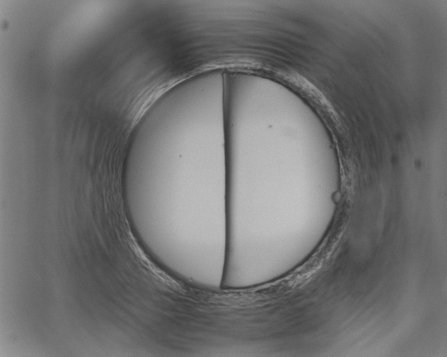 X0000067480937200604071135