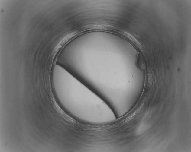 X0000067480938200604071135