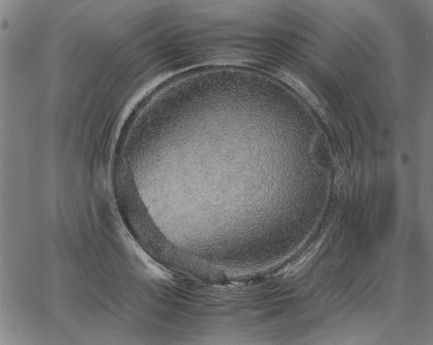 X0000067480939200604071135