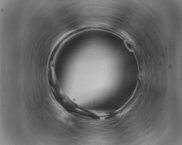 X0000067480940200604071135