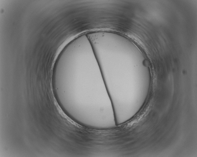 X0000067480941200604071135