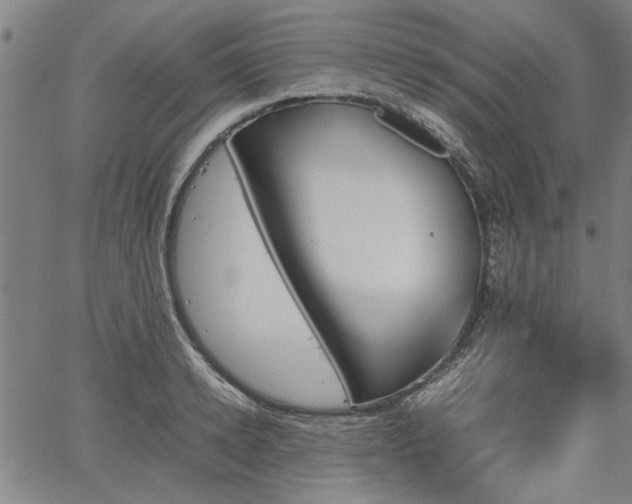 X0000067480942200604071135