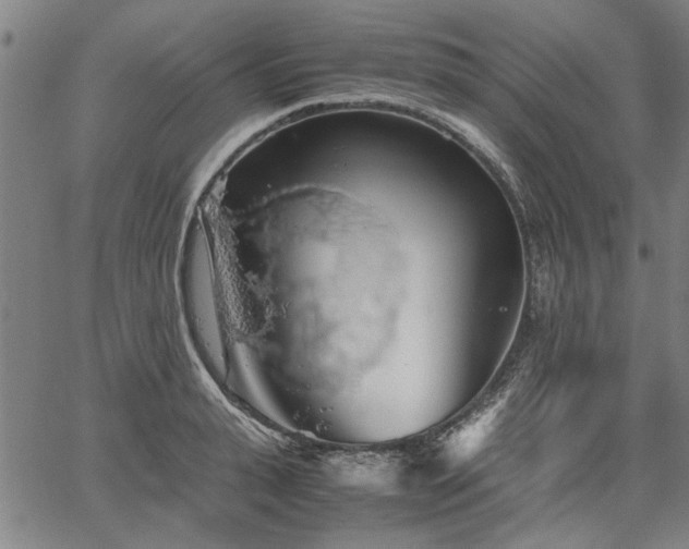 X0000067480943200604071135