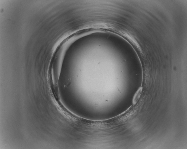 X0000067480944200604071135