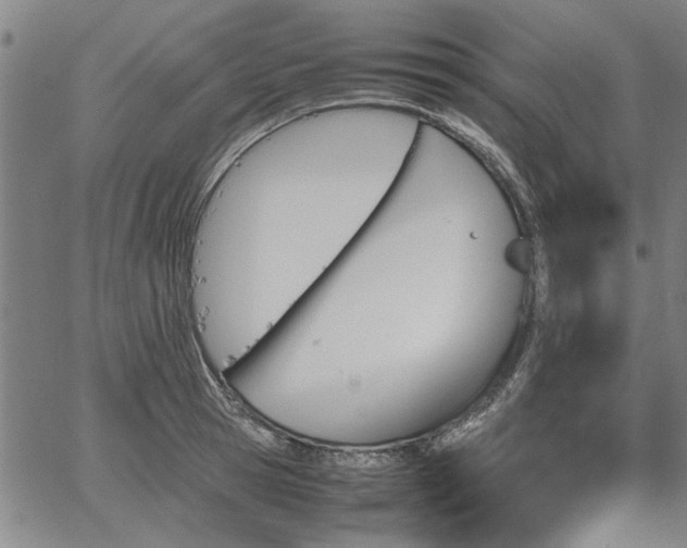 X0000067480945200604071135