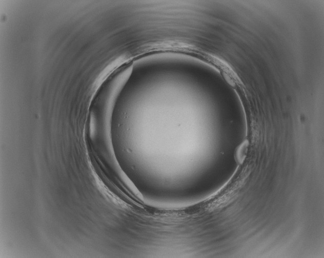 X0000067480946200604071135