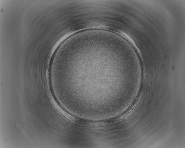 X0000067480947200604071135