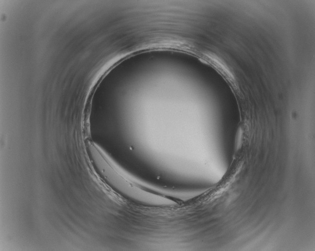 X0000067480948200604071135